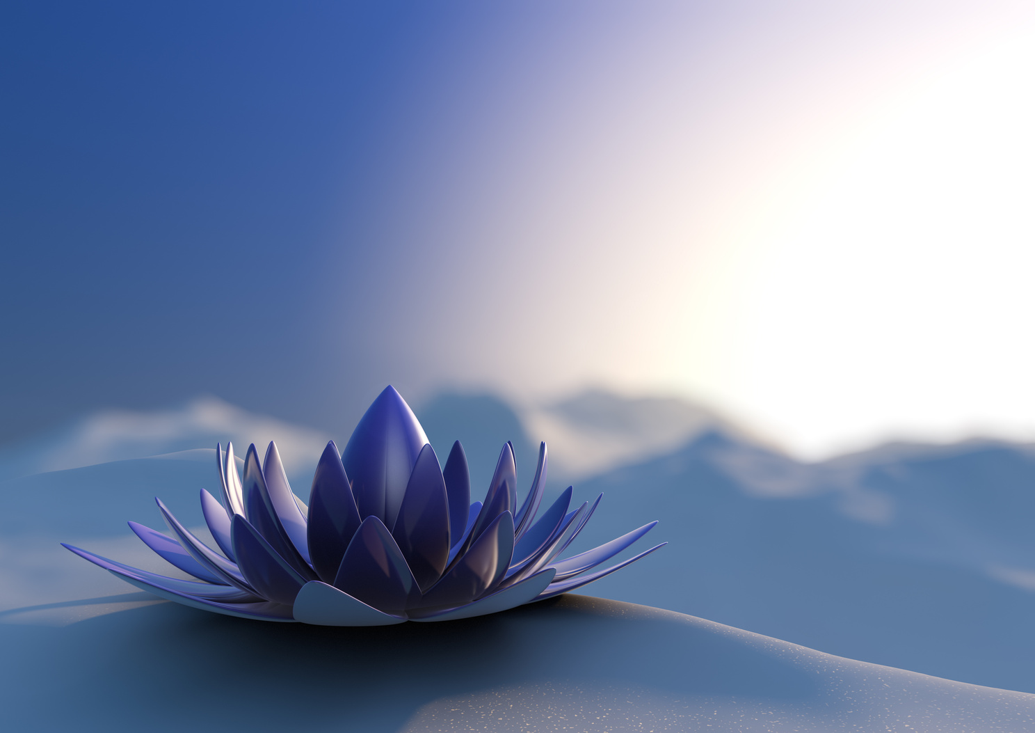 Winter zen flower